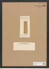 Amphora ceylanensis Lend.-Fortm. (de-Toni-Nr.: Genus 36, Species 1512) Zeichnungen Sammlung Grunow Nr. 2931 (NHMW-BOT-W0370277)